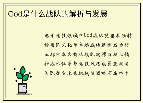 God是什么战队的解析与发展