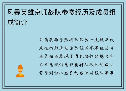 风暴英雄京师战队参赛经历及成员组成简介
